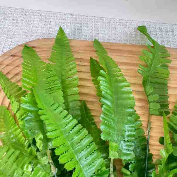 17.72in Fake for fern Stems De - Wedding Solution ulasan dan harga